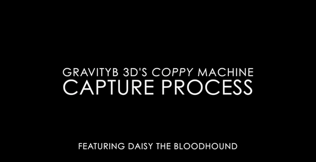 GravityB 3D Capture Process